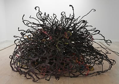 Nest for a Stranger