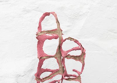 Fiberformasjoner